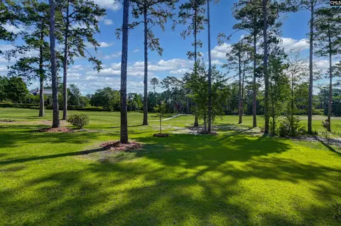 331 E Arrowleaf Ln, Elgin, SC 29045 photo 70