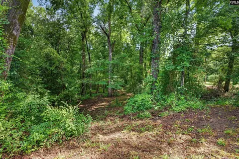 Exterior - 1611 Dixired Rd, Leesville, SC 29070 photo 17 of 27