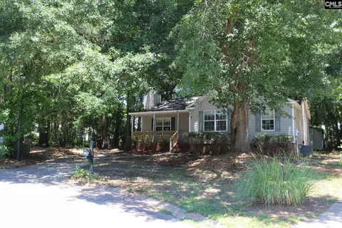 14 Holliston Ct, Chapin, SC 29036