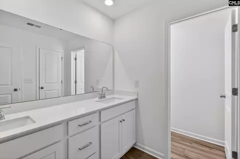 Entry Way - 782 Ben Gunn Run, Gilbert, SC 29054 photo 4 of 5