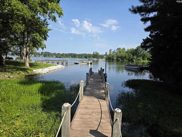 524 Lakemont Dr, Chapin, SC 29036