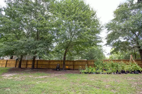 5 Lucerne Dr, Elgin, SC 29045 photo 59