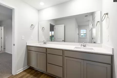 Entry Way - 762 Clementine Run, Gilbert, SC 29054 photo 11 of 11