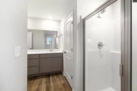 Entry Way - 762 Clementine Run, Gilbert, SC 29054 photo 10 of 11
