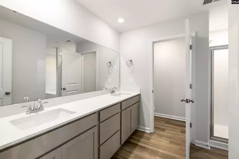 Bath - 762 Clementine Run, Gilbert, SC 29054 photo 1 of 3