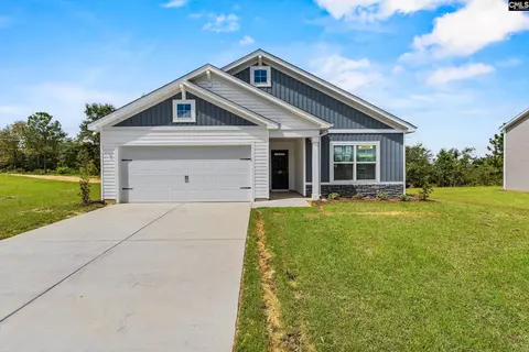 172 Calm Citadel Dr, Pelion, SC 29123