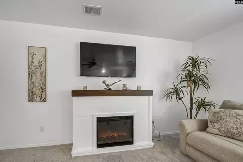 Other - 2533 Watson St, Elgin, SC 29045 photo 3 of 8