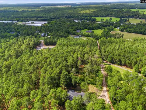 View/Area - 947 Ben Franklin Rd, Gilbert, SC 29054 photo 2 of 6