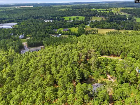 View/Area - 947 Ben Franklin Rd, Gilbert, SC 29054 photo 3 of 6