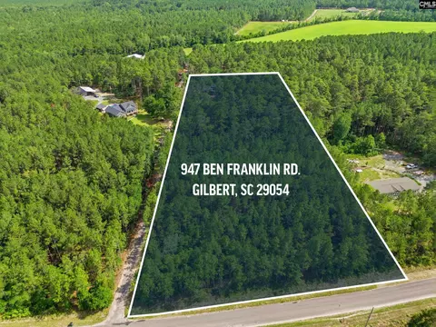 View/Area - 947 Ben Franklin Rd, Gilbert, SC 29054 photo 6 of 6