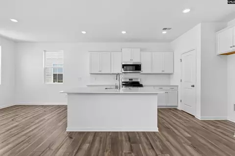 Entry Way - 790 Ben Gunn Run, Gilbert, SC 29054 photo 9 of 14