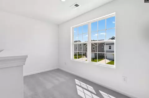 Entry Way - 790 Ben Gunn Run, Gilbert, SC 29054 photo 10 of 14