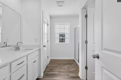 Entry Way - 790 Ben Gunn Run, Gilbert, SC 29054 photo 12 of 14