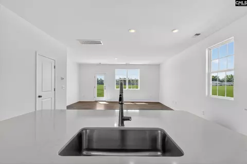 794 Ben Gunn Run, Gilbert, SC 29054 photo 18