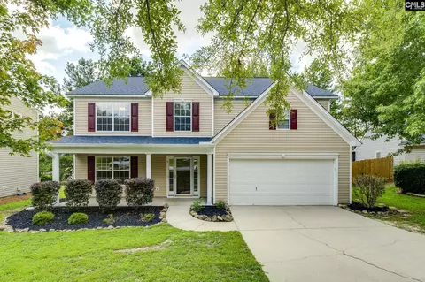 5 Redbrush Ct, Chapin, SC 29036