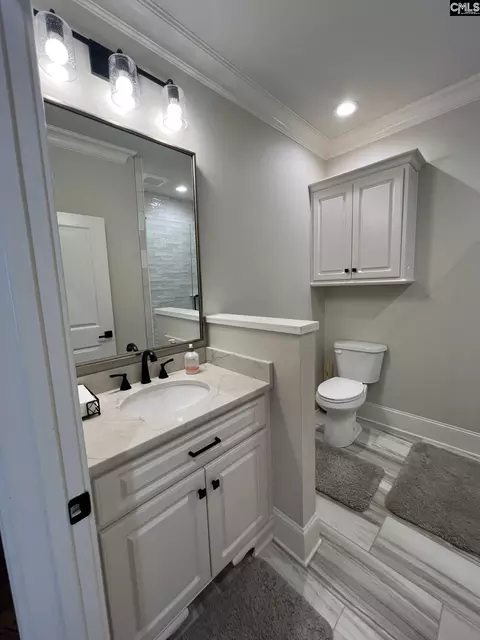 Bath - 255 Osprey Pointe Ln, Prosperity, SC 29127 photo 5 of 6