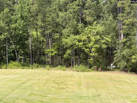 255 Osprey Pointe Ln, Prosperity, SC 29127 photo 5