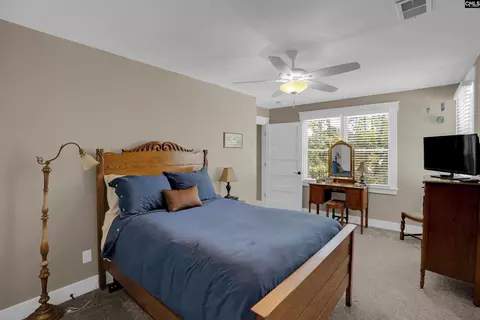 331 Three Point Rd, Chapin, SC 29036 photo 51