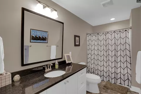 331 Three Point Rd, Chapin, SC 29036 photo 52