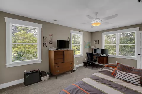 331 Three Point Rd, Chapin, SC 29036 photo 55