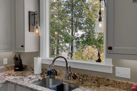 331 Three Point Rd, Chapin, SC 29036 photo 21
