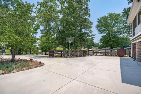 331 Three Point Rd, Chapin, SC 29036 photo 67
