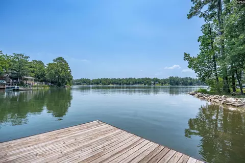 331 Three Point Rd, Chapin, SC 29036 photo 60