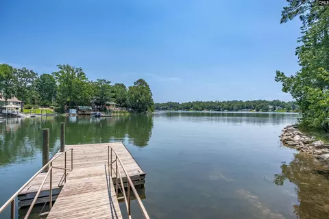 331 Three Point Rd, Chapin, SC 29036 photo 59