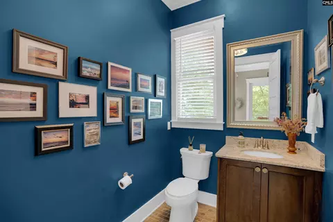 331 Three Point Rd, Chapin, SC 29036 photo 34
