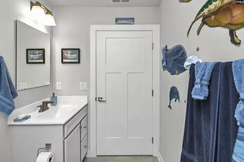 Bath - 353 Switch Grass Ct, Elgin, SC 29045 photo 2 of 4