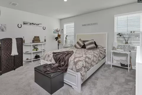 Bedroom - 353 Switch Grass Ct, Elgin, SC 29045 photo 4 of 6