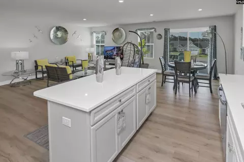 Other - 353 Switch Grass Ct, Elgin, SC 29045 photo 6 of 15