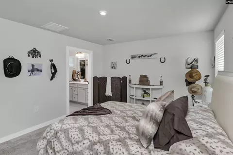 Bedroom - 353 Switch Grass Ct, Elgin, SC 29045 photo 6 of 6