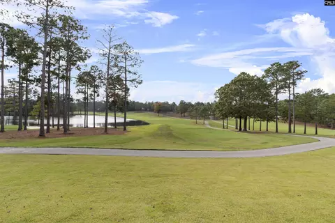 116 Sweetshrub Rd, Elgin, SC 29045 photo 45
