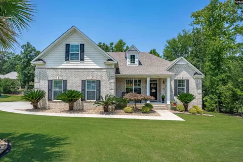 238 Hilton View Ct, Chapin, SC 29036
