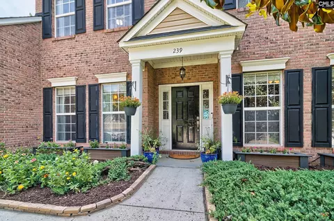 239 Winterberry Loop, Lexington, SC 29072 photo 4