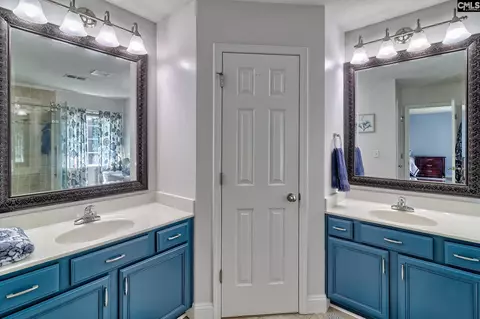 239 Winterberry Loop, Lexington, SC 29072 photo 41