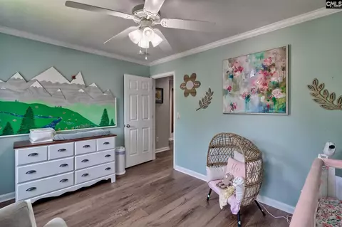 239 Winterberry Loop, Lexington, SC 29072 photo 31