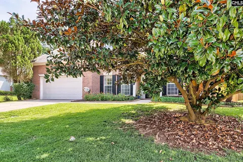 239 Winterberry Loop, Lexington, SC 29072 photo 3