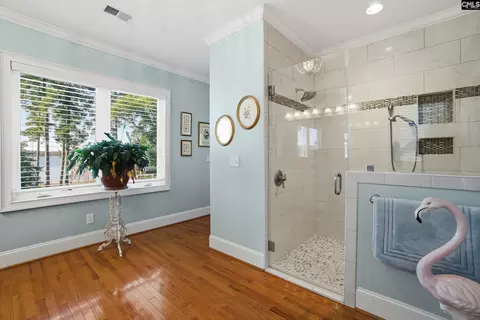 Bath - 512 Stucks Point Dr, Chapin, SC 29036 photo 2 of 6