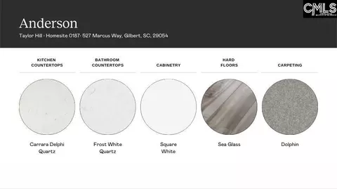 1118 Swindon Run, Gilbert, SC 29054 photo 4
