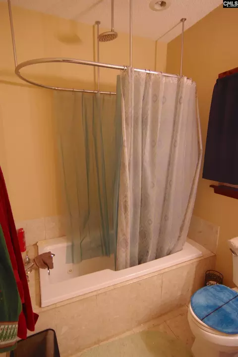 Bath - 210 Hutto Hl, Gilbert, SC 29054 photo 4 of 5
