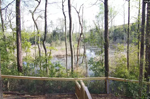 View/Area - 210 Hutto Hl, Gilbert, SC 29054 photo 1 of 1