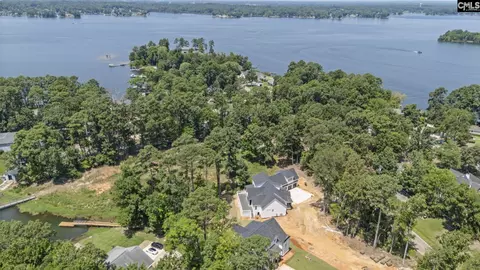 View/Area - 263 Killian Point Rd, Chapin, SC 29036 photo 3 of 8