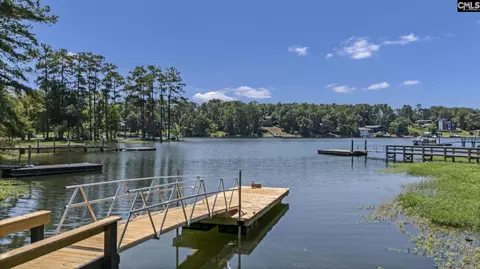 View/Area - 263 Killian Point Rd, Chapin, SC 29036 photo 7 of 8
