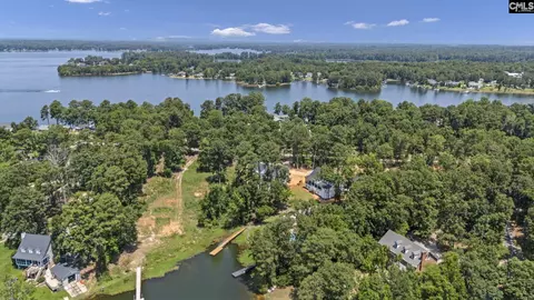 View/Area - 263 Killian Point Rd, Chapin, SC 29036 photo 6 of 6