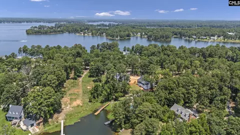 View/Area - 263 Killian Point Rd, Chapin, SC 29036 photo 8 of 8