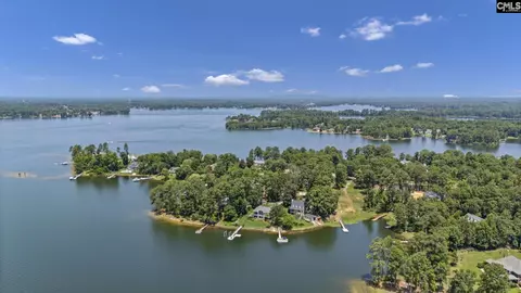 View/Area - 263 Killian Point Rd, Chapin, SC 29036 photo 4 of 6