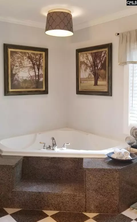 Bath - 103 Greybeard Ln, Lexington, SC 29072 photo 3 of 3
