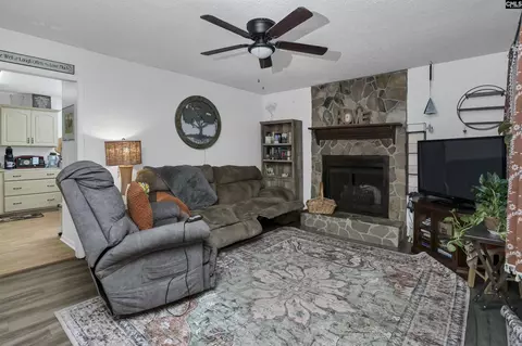 133 Sunset Strip, Elgin, SC 29045 photo 10